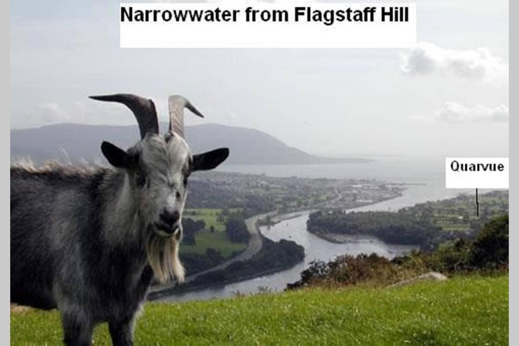 Quarvue Farmhouse, Unique House With Views Of Mournes And Cooleys Holiday home
